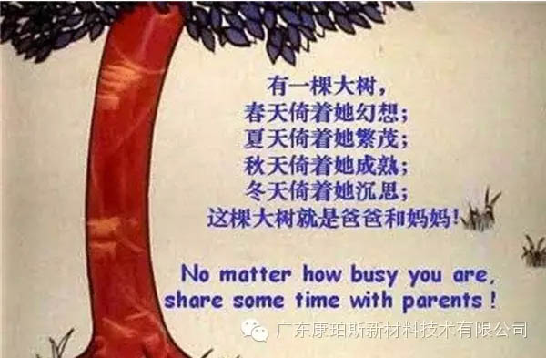 樹就是我們的父母！請愛護你們身邊的這棵樹！