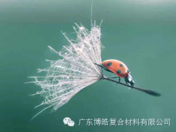 【博皓感悟】成功，要&ldquo;借力&rdquo;，不要&ldquo;盡力&rdquo;