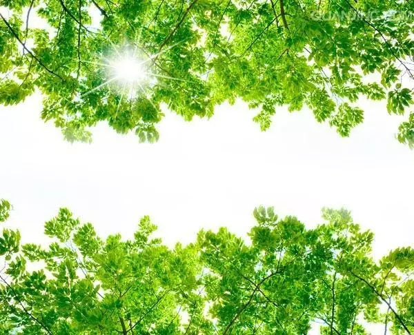 人生實苦，但請你足夠相信！